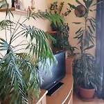 Goga Apartamento *