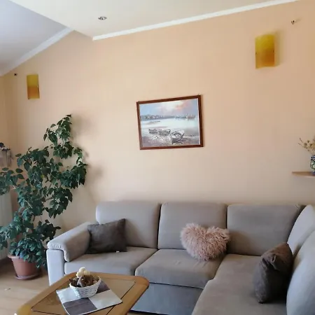 Apartamento Goga *